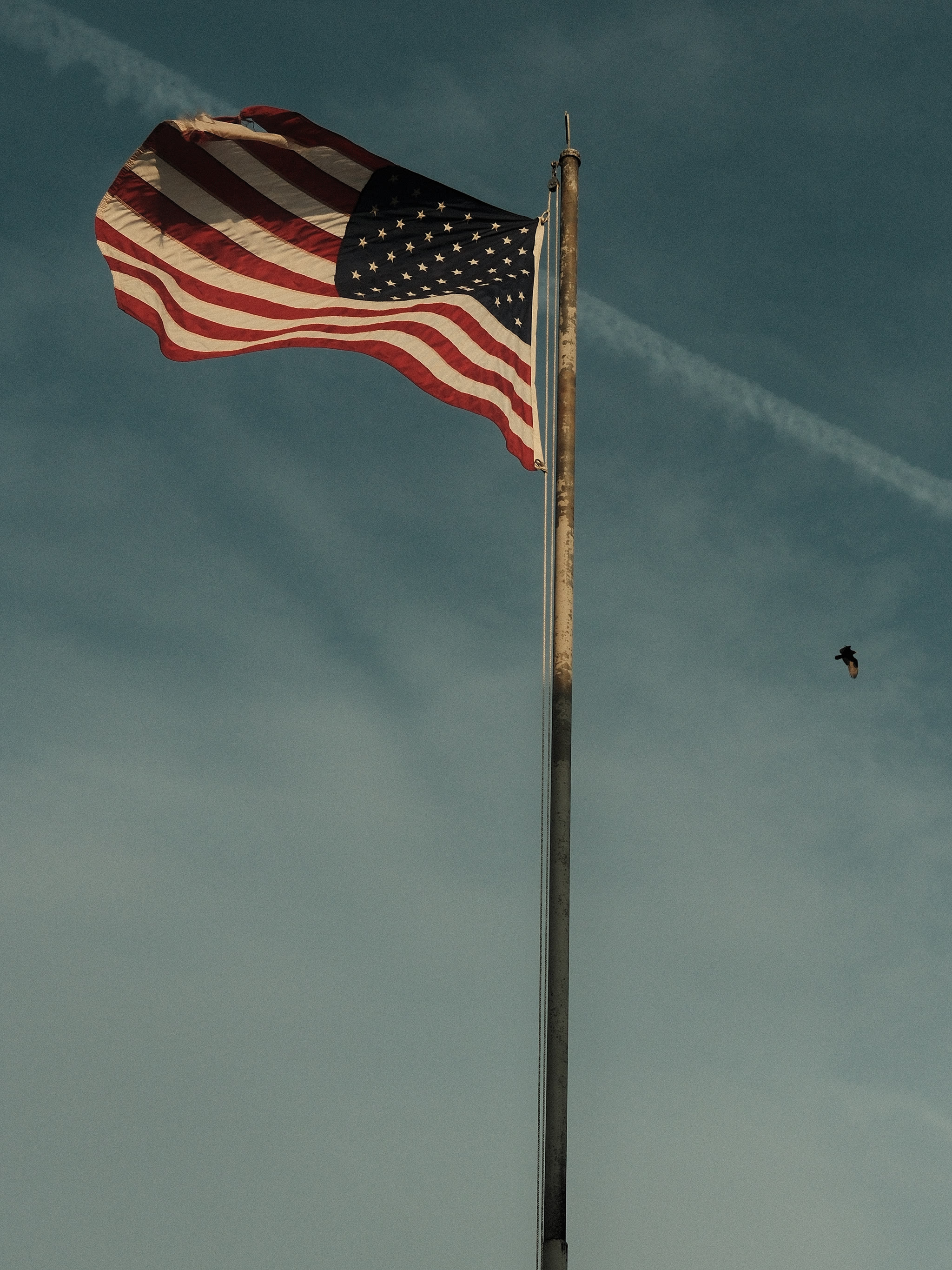 Small library, Midway Kentucky